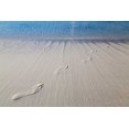 thumbnail image 2 of Paulson, Don 24x17 White Modern Wood Framed Museum Art Print Titled - Bahamas, Exuma Island Sand footprints, 2 of 4