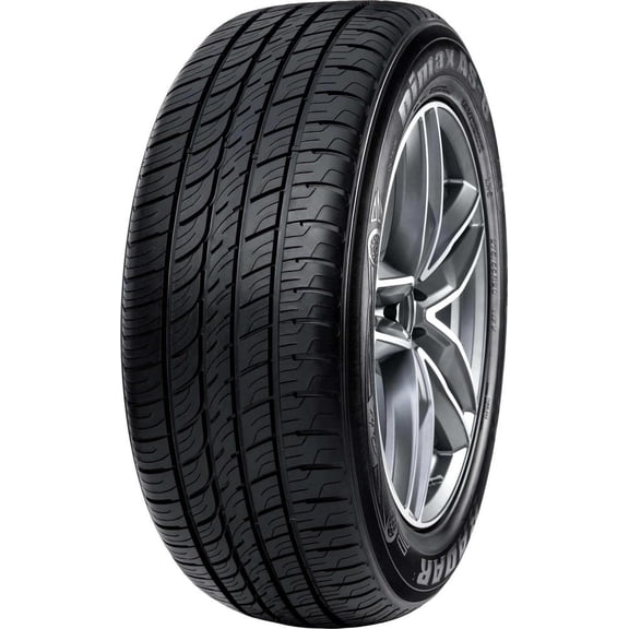 Radar Dimax AS-8 235/65R16 103H Passenger Tire Fits: 2008 Suzuki XL-7 JX, 2007 Suzuki XL-7 Base