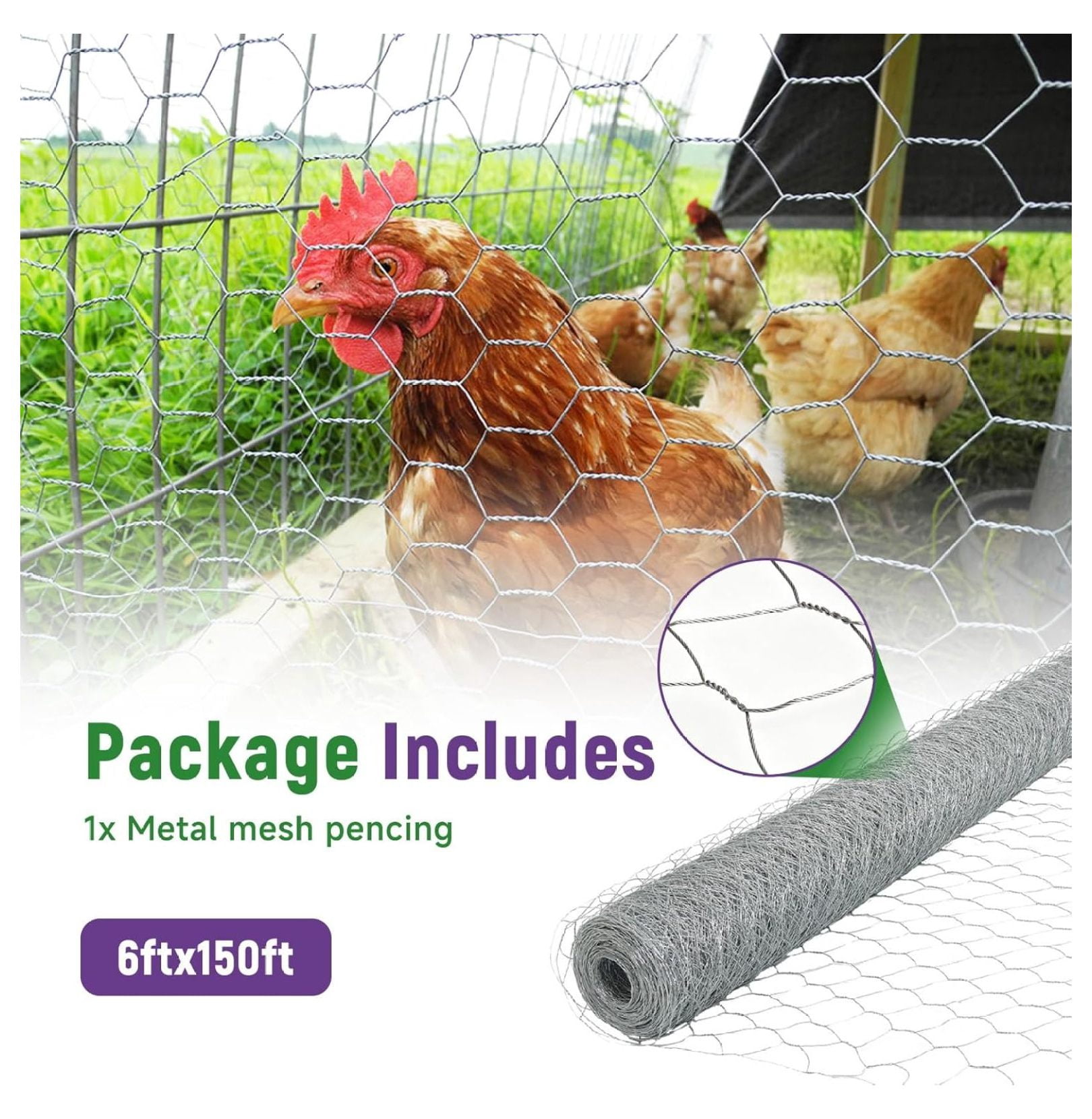Galvanized Chicken Wire Netting Mesh for Garden Fences 6x150 Feet