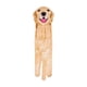 thumbnail image 1 of Wosthever Toalla de manos elegante para amantes de los perros para baño o cocina Toallas de mano para baño Gruesas y muy absorbentes Cocina y Comedor tipo+3, 1 of 6
