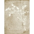 thumbnail image 2 of Quach, Anna 25x32 White Modern Wood Framed Museum Art Print Titled - Rustic Floral I, 2 of 4