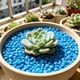 thumbnail image 4 of Piedras luminosas para jardín, rocas para decoración de interiores y exteriores, guijarros que brillan en la oscuridad, 150 piezas., 4 of 8