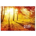 thumbnail image 1 of BSDHOME Polyester Autumn theme woods meadows sunny nature scenery Photography Backdrops Studio Background Photo Backdrops 7x5ft, 1 of 3