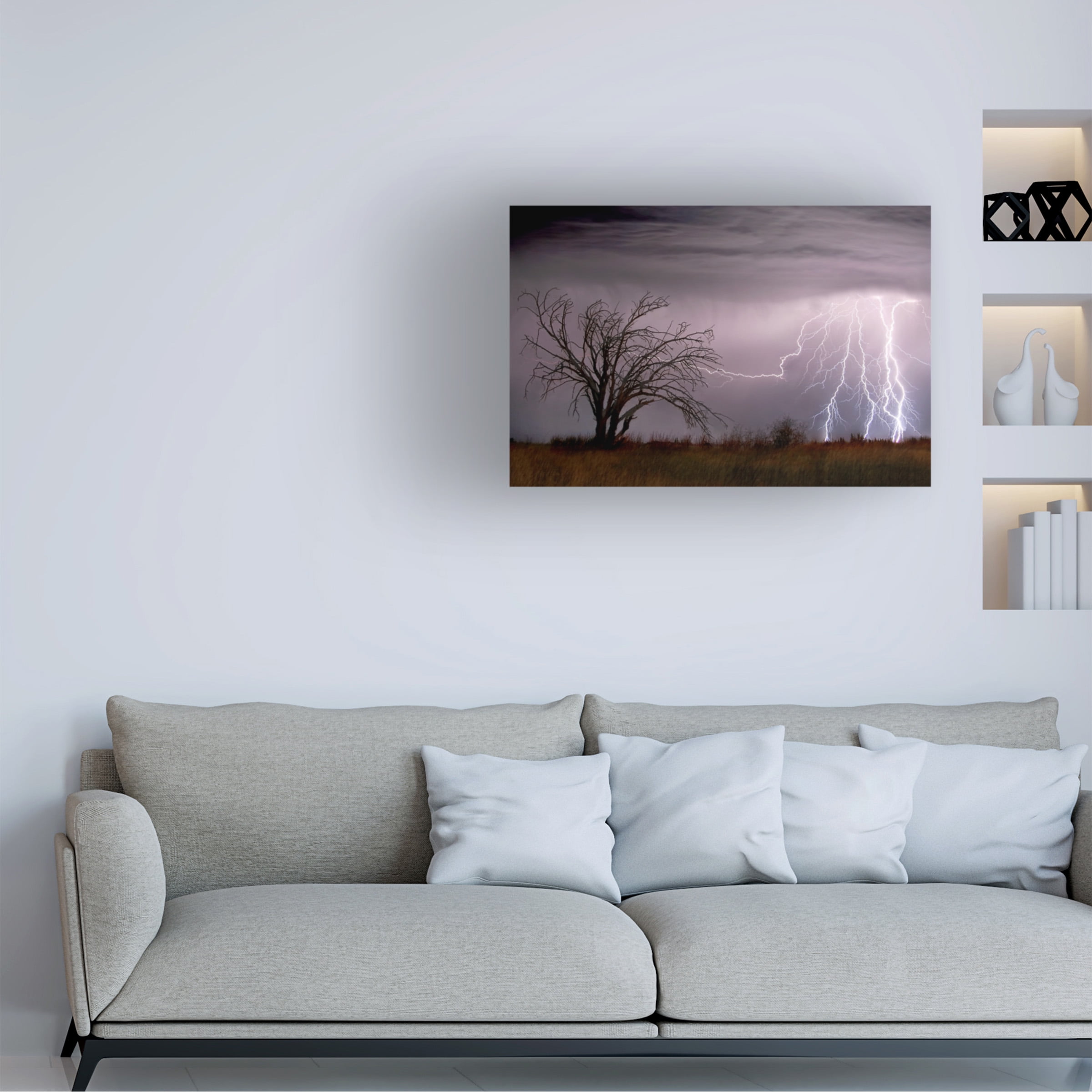 Wayne Bradbury Photography 'Lightning' Canvas Art