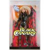 Barbie Famous Friends: Dc Comics Black Canary Collectible Doll