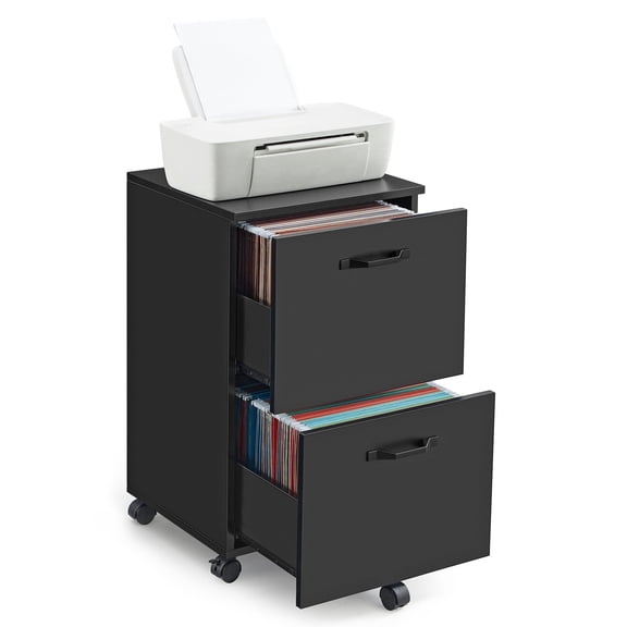 VASAGLE 2-Drawer File Cabinet, Small Rolling Filing Cabinet for Home Office, Printer Stand, for A4, Letter-Size Documents, 15.7 x 16.5 x 27.6 Inches, Black