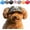 Camouflage, variant on Outdoor Sun Protection Hat for Dogs, Dog Cat Summer Beach Visor Hat with Ear Holes, for Small and Medium Sized Dogs Outdoor Climbing hat in Summer Pet Products (Camouflage, Small)
