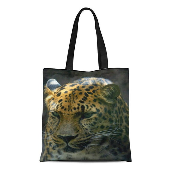 JSDART Canvas Tote Bag Green Eyes Jaguar Wild Cats Big Wildlife Reusable Handbag Shoulder Grocery Shopping Bags