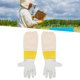 thumbnail image 5 of Par de guantes protectores de apicultura con manga larga de malla unisex para apicultor principianteXXXL, 5 of 14