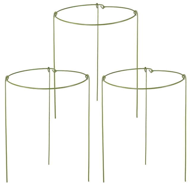 Jaula de Soporte para Plantas cozyou 20x28 cm Paquete de 6 Verde