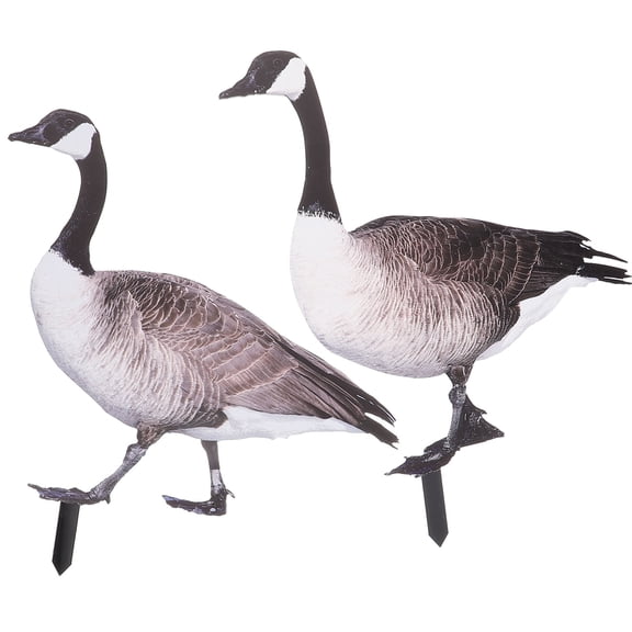 SEWCHICS 2-Pack Acrylic Garden Ornaments Outdoor Decorative Lawn for Yard and Patio