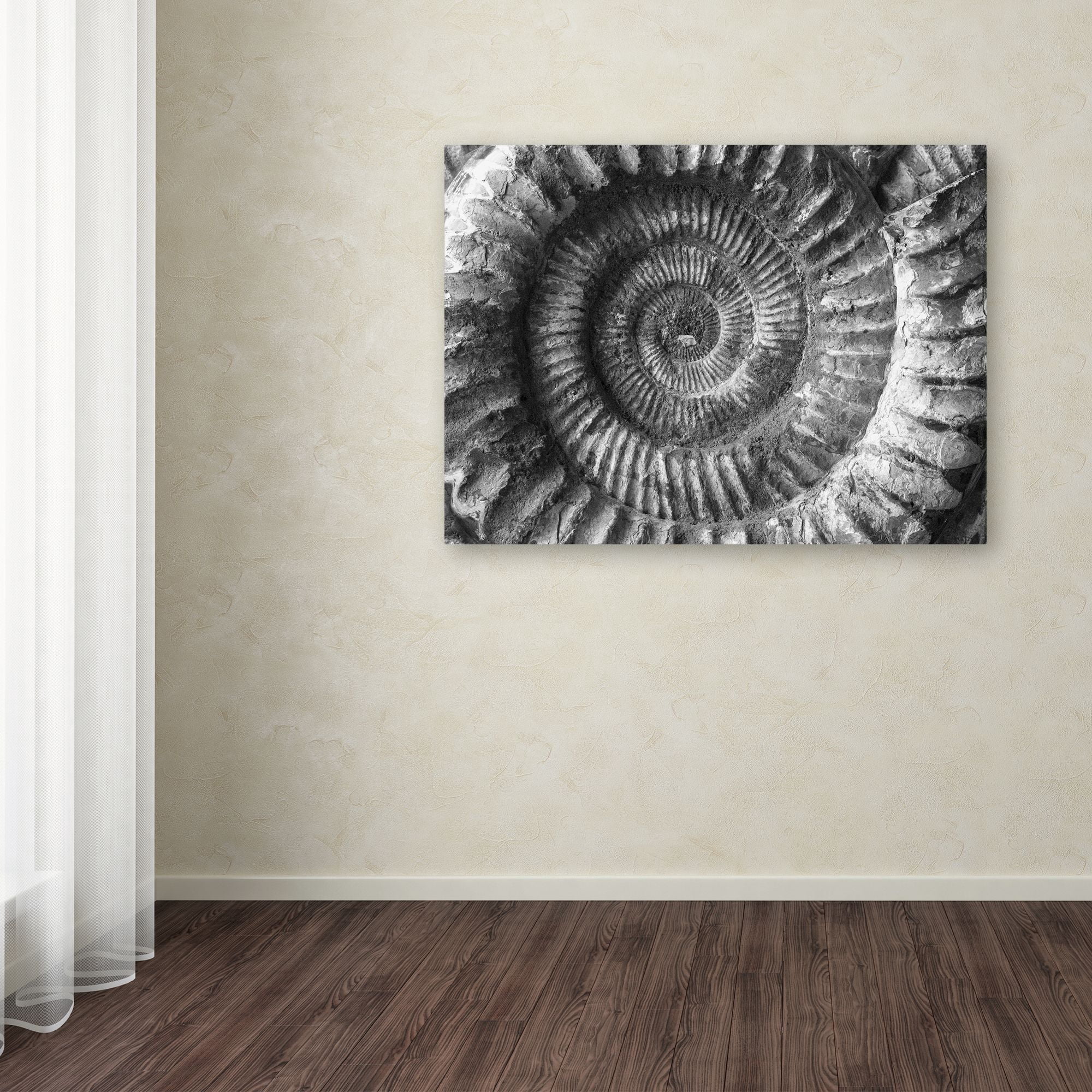 Trademark Fine Art "Amonita 2" Canvas Art by Moises Levy
