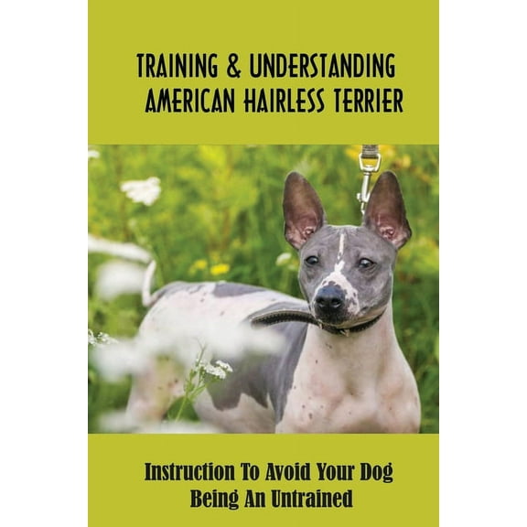 Training & Understanding American Hairless Terrier: Instruction To Avoid Your Dog Being An Untrained: Socializing Your American Hairless Terrier (Paperback)