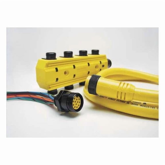 Brad Harrison Cordset,7 Pin,Receptacle,Female 207000A01F120