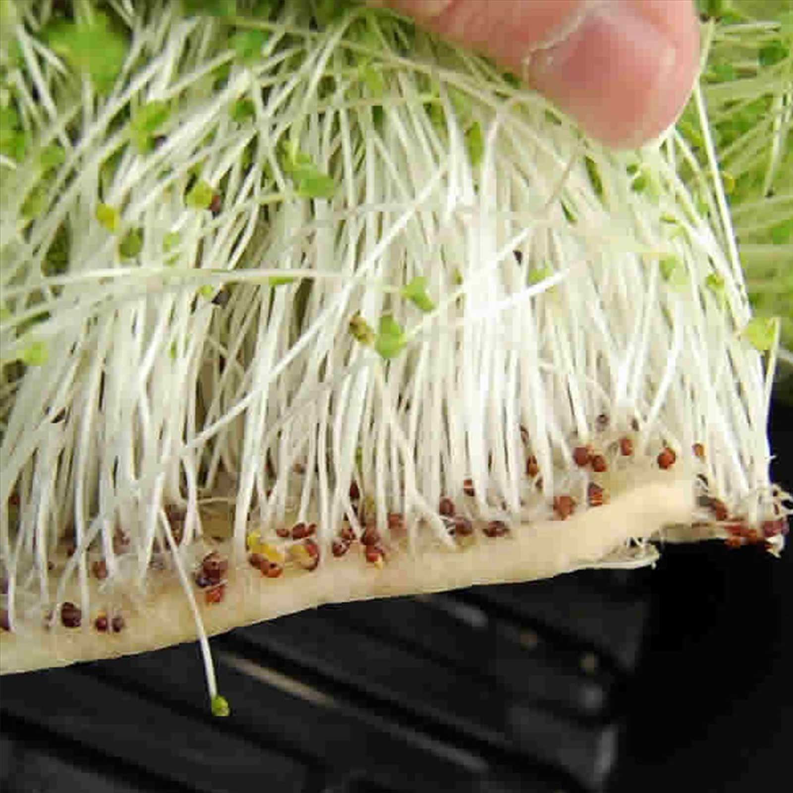 Micro-Mats Hydroponic Grow Pads - For Organic Production - 100 Pack - Plant & Seed Germination: Wheatgrass, Microgreens, More - For 20" x 10" Greenhouse Trays