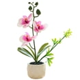 thumbnail image 1 of Flor falsa de doble horquilla, simulación de phalaenopsis, decoración creativa de bonsái pequeño, planta artificial en maceta, planta verde, 1 of 5