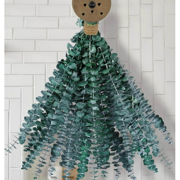 20 PCS Dried Eucalyptus-17" Natural Fresh Eucalyptus for Shower ,Shower Eucalyptus Hanging, Wedding Decor Home Decor Farmhouse Decor DIY Spring Decor (Green)