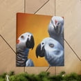 thumbnail image 6 of African Grey Splendor - Canvas, 6 of 10