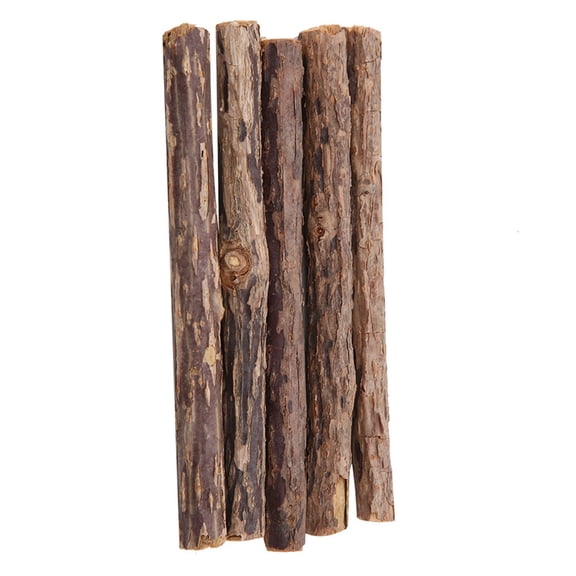 Natural Catnip Matatabi Chewing Sticks 5pcs - Dental Health & Teeth Cleaning Toy for Cats, Safe & Organic