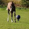 thumbnail image 4 of Horsemen S Pride Inc - Jolly Ball- Banana 10 Inch - 410BN, 4 of 4