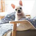 thumbnail image 2 of Washable sleeping area for pet mats for dogs cats (70×55cm), 2 of 4