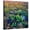 Canvas, variant on Art.com Prickly Pear and Saguaro Cacti, Santa Catalina Mountains, Oro Valley, Arizona, USA Photographic Print, 16" x 16"
