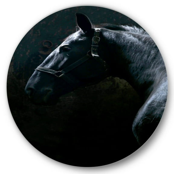 Designart 'Close Up Of Thoroughbred Nonius Stallion Horse II' Farmhouse Circle Metal Wall Art 36x36 - Disc of 36