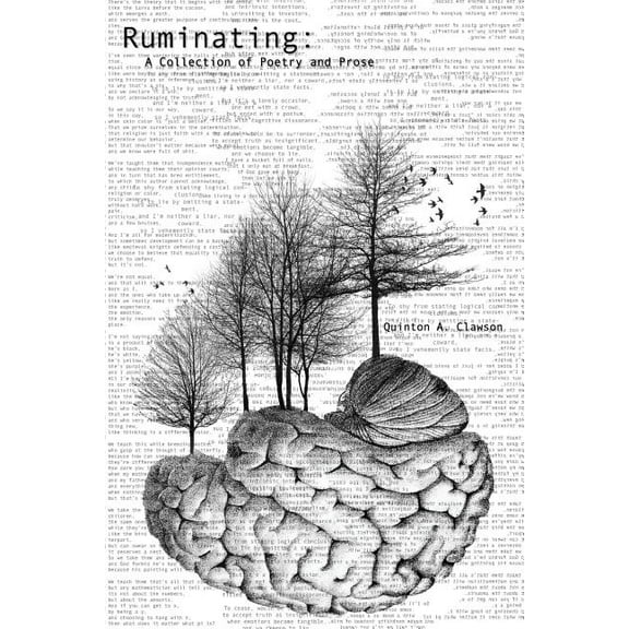 Ruminating: A Collection of Poetry and Prose (Paperback)