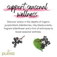thumbnail image 3 of Pukka Herbs Organic Elderberry and Echinacea Herbal Tea Bags, 20 Ct, 3 of 4