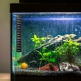 thumbnail image 4 of Homoyoyo 2Pcs Aquarium Thermometer Sticker Strip Black Adhesive Temperature Indicator for Fish Tank Use, 4 of 8