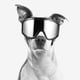 thumbnail image 4 of Gafas de sol para perros, gafas para cachorros, protección ocular a prueba de viento para mascotas, gafas para perros, 4 of 8