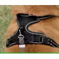 thumbnail image 6 of GenoSofi No Pull Dog Pet Harness, Adjustable Control Vest Dogs Reflective, 4 Sizes & 4 Colors, 6 of 8
