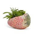 thumbnail image 3 of Abbott Jardinière de Fraises Pondue – Pot en Ciment Ressemblant à une Fraise Horizontale, 4 Po H – Jardinière Ludique pour Fruits, Fleurs Ou Plantes Colorées, 3 of 3