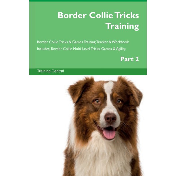 Border Collie Tricks Training Border Collie Tricks & Games Training
