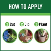 RootBoost Rooting Hormone, Rooting Powder for Plant Cuttings, 2 Ounces
