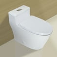 thumbnail image 5 of WinZo WZ5081T Dual Flush Elongated One Piece Toilet Low Profile Standard 12" Rough-in Modern Bathroom White, 5 of 5