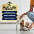 thumbnail image 4 of Solid Gold Mighty Mini Toy & Small Breed Wet Dog Food, Lamb Gravy 3.5oz Cup, 4 of 11