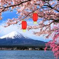 thumbnail image 2 of FELTECHELECTR 10 linternas japonesas impermeables de 15 cm, plegables, de tela de seda, ovaladas, decorativas, colgantes (rojas), 2 of 7