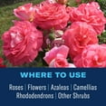 thumbnail image 6 of BioAdvanced All-in-One Rose & Flower Care Granules, 4-Pound, 6 of 7