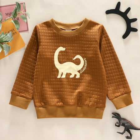 

PatPat Toddler Boy Letter Dinosaur Print Textured Pullover Sweatshirt for boy Sizes 18M-6Y