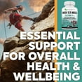 thumbnail image 5 of Dr Martins Irish Sea Moss Supplement 2625mg - 120 Capsules, Natural Superfood Made with Irish Moss Bladderwrack & Burdock Root, Powerful Anti-aging Antioxidant for Energy Boost, Digestive & Skin, 5 of 10