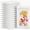 White, variant on 100Pcs Holographic Mylar Bags, 4" x 6" Smell Proof Resealable Bags with Clear Window, Reusable Foil Pouch for Small Business and Food Storage (White