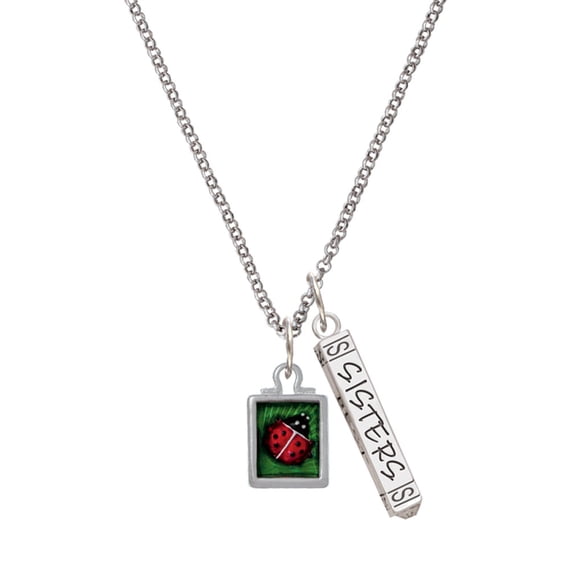 Delight Jewelry Silvertone Red Ladybug in Shadow Box Silvertone Sisters Best Friends Forever Bar Charm Necklace, 23"