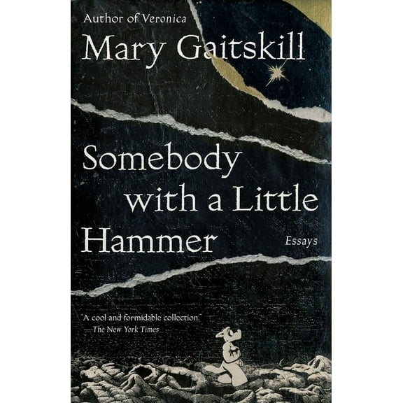 Somebody with a Little Hammer: Essays, (Paperback)