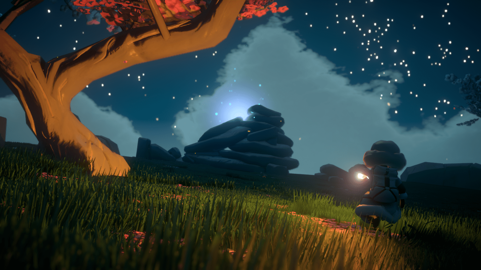 Yonder the Cloud Catcher Chronicles, Merge Games for Nintendo Switch -  Walmart.com