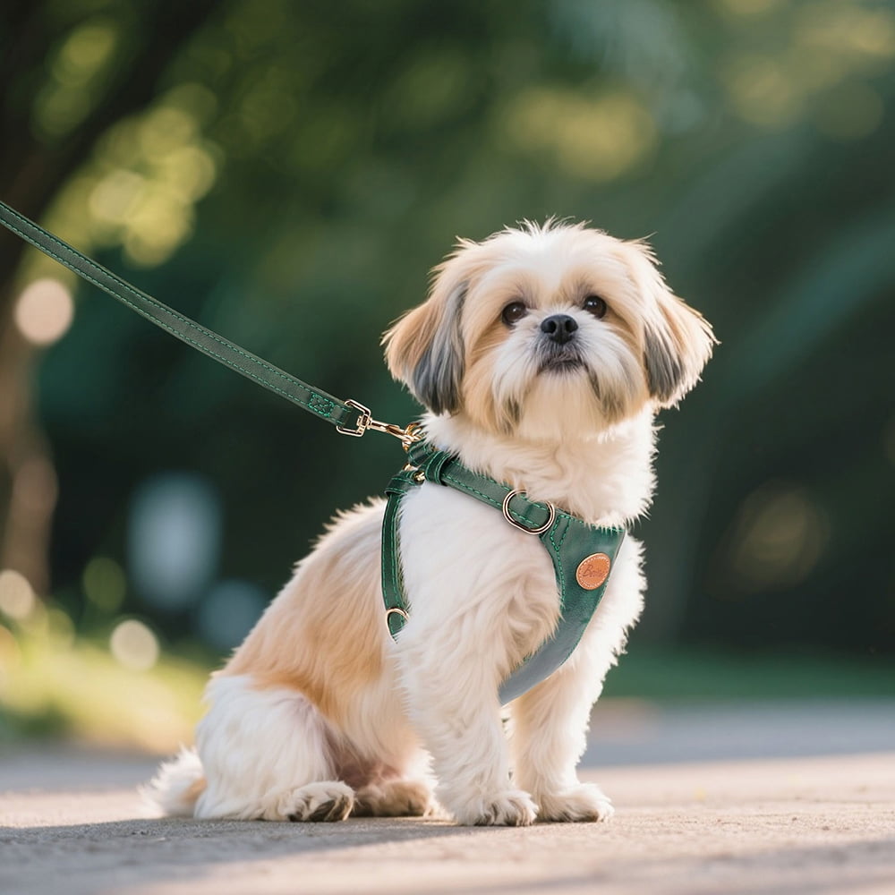 Pet Artist Stylish Step-In Dog Harness & Leash Set PU Leather Perfect for Daily Family Walks with Small Medium Pets