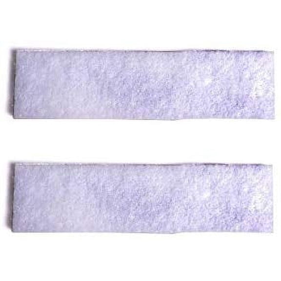 Replacement Part For Hoover WindTunnel T-Series Vacuum Cleaner Exhaust Filter (2 Filters) For Models UH30300, UH30310, UH30600, CH53005 # 902418001