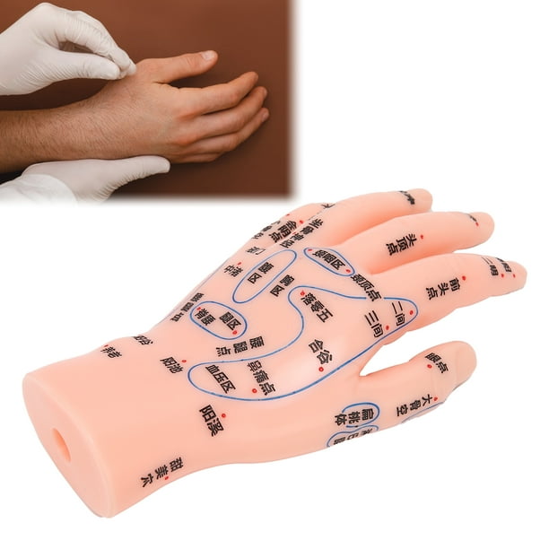 Rdeghly Outils de massage Main gauche Modèle de point d