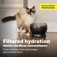 thumbnail image 3 of PetSafe HydroSphere Cordless Pet Fountain, Water Fountain for Cats and Small Dogs, black, 3 of 11
