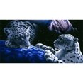 thumbnail image 1 of Taladro Pintura Diamante (DF3467) 5D DIY Animal completo Bordado de punto de cruz (Tiger05) 20X30cm Hugtrwg Para estrenar, 1 of 1